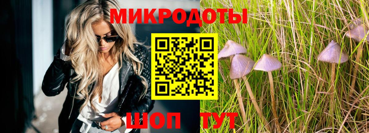 Псилоцибиновые грибы GOLDEN TEACHER  Вход с VPN  Псилоцибиновые грибы Psilocybine cubensis  даркнет сайт  Сорочинск 